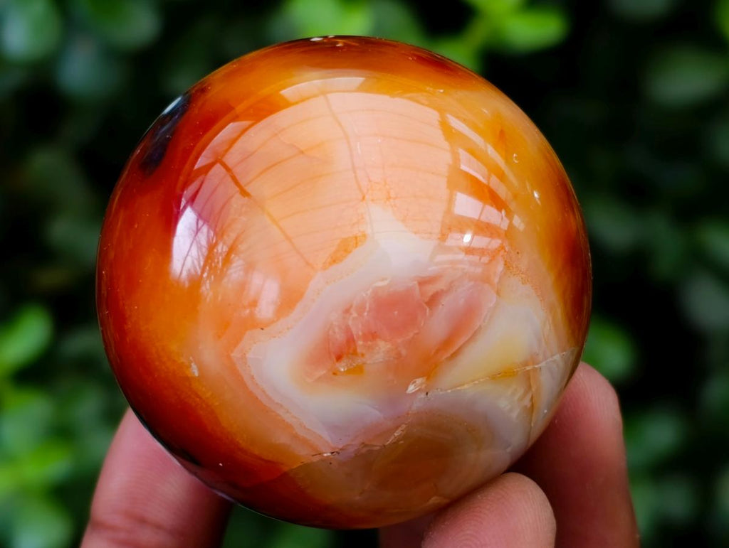 Polished Carnelian Agate Gemstone Spheres x 8 From Madagascar
