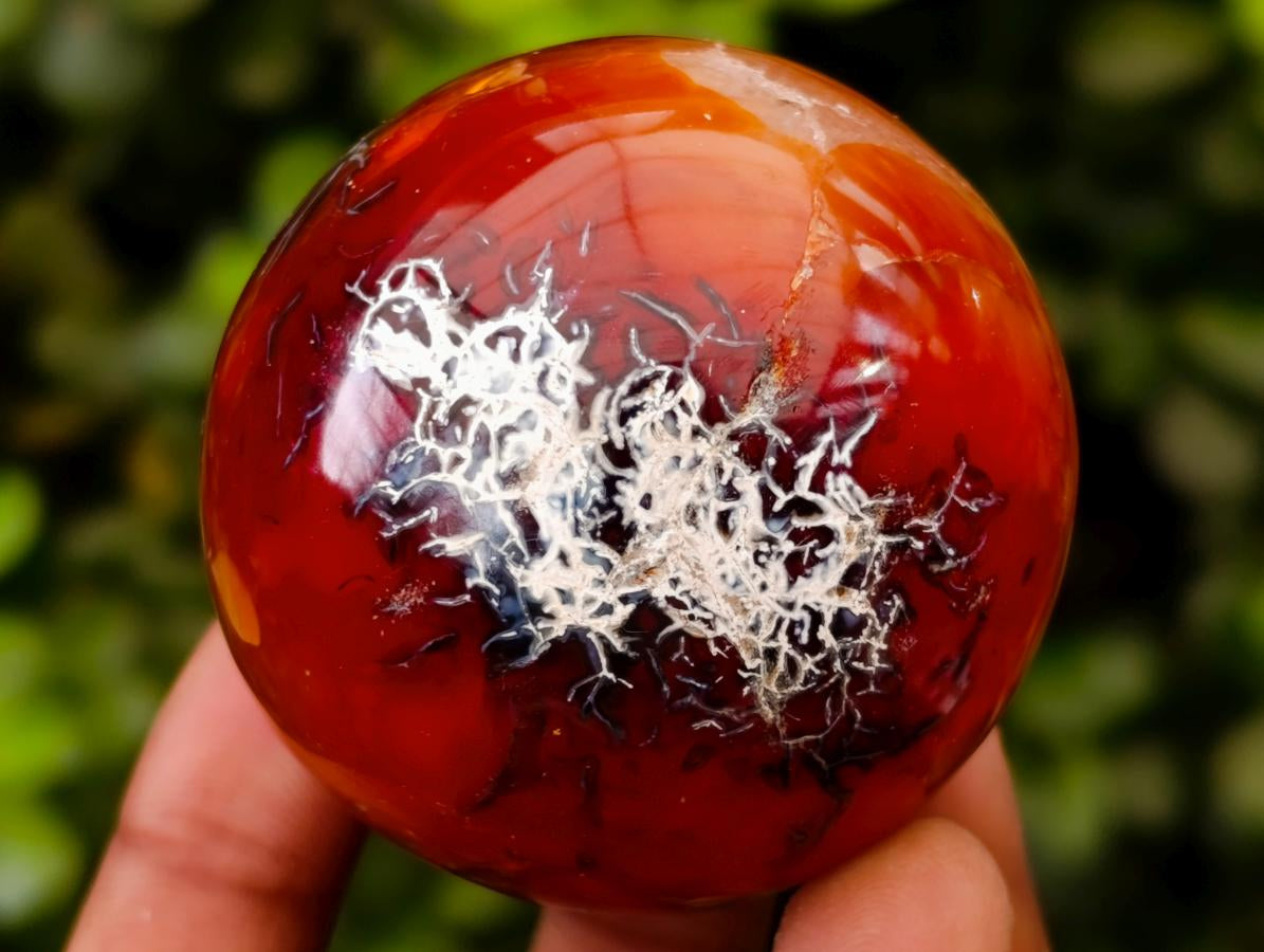 Polished Carnelian Agate Gemstone Spheres x 8 From Madagascar