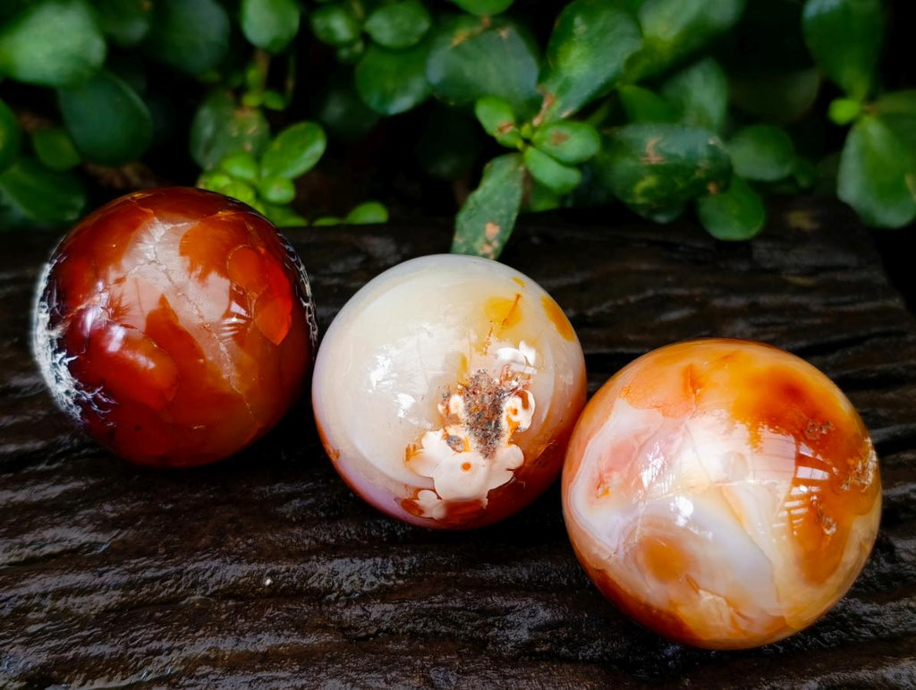 Polished Carnelian Agate Gemstone Spheres x 8 From Madagascar