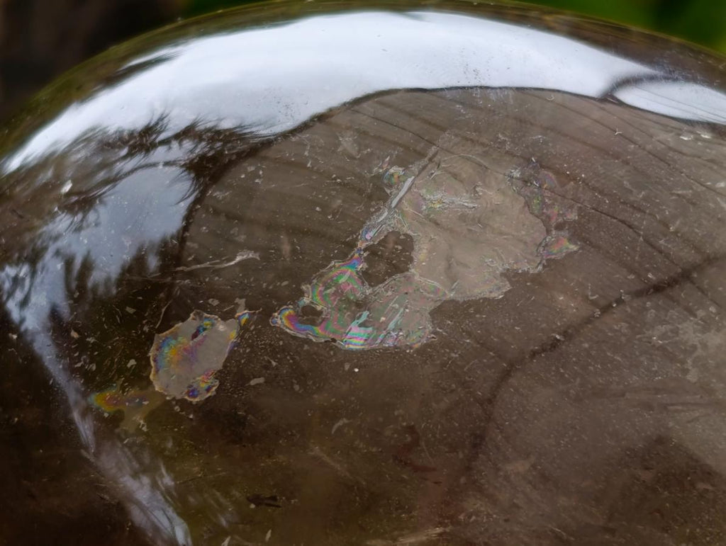 Polished Smokey Window Quartz Standing Free Forms x 2 From Madagascar