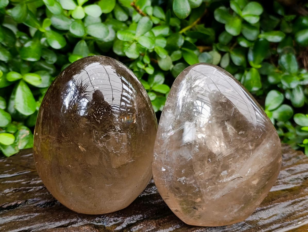 Polished Smokey Window Quartz Standing Free Forms x 2 From Madagascar