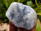 Natural Blue Celestite Specimens x 3 From Sakoany, Madagascar - Toprock Gemstones and Minerals 