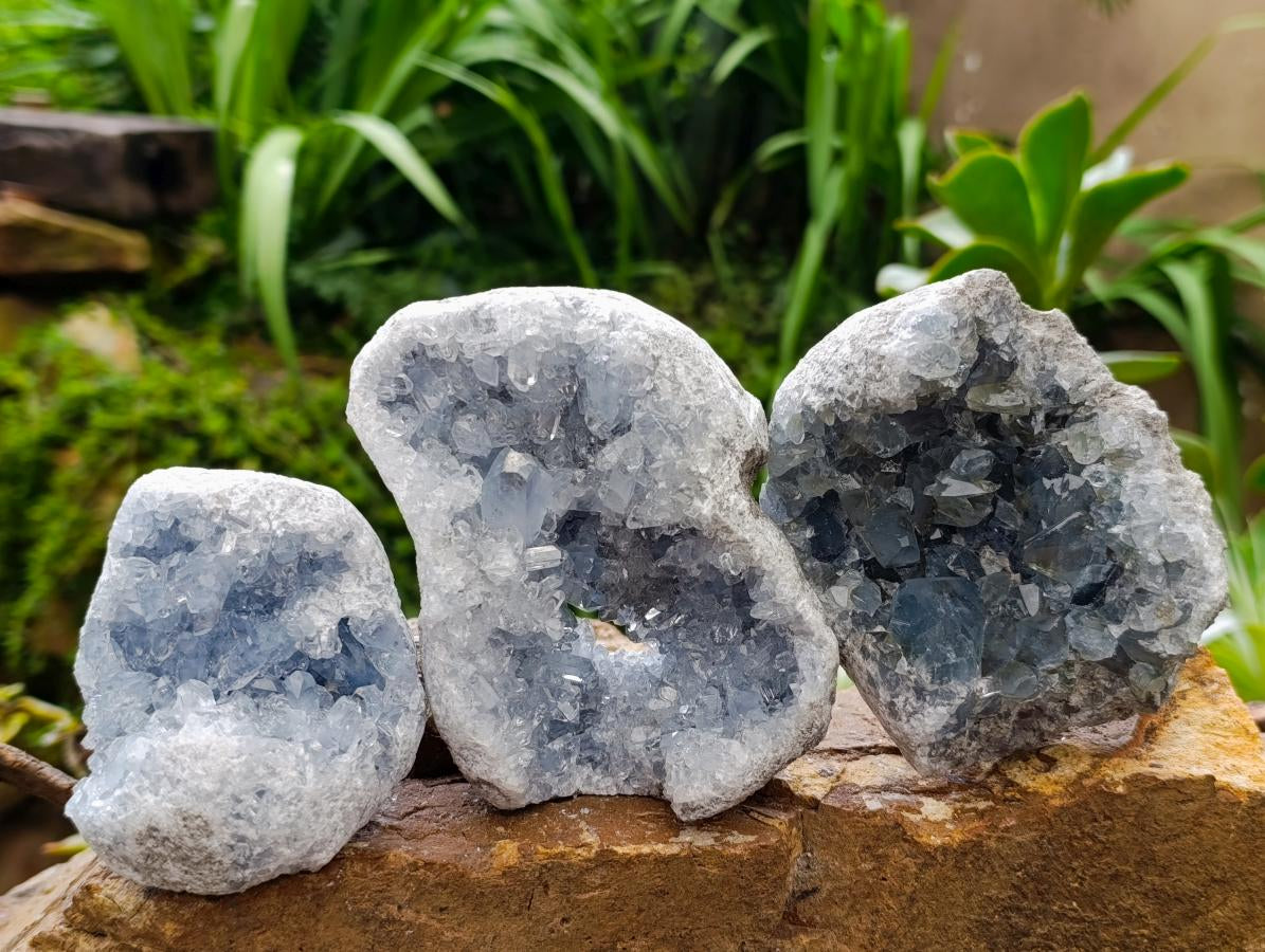 Natural Blue Celestite Specimens x 3 From Sakoany, Madagascar