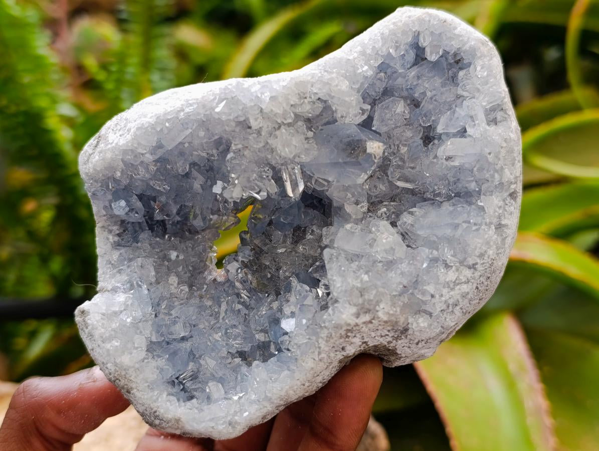 Natural Blue Celestite Specimens x 3 From Sakoany, Madagascar