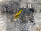Natural Blue Celestite Specimens x 3 From Sakoany, Madagascar - Toprock Gemstones and Minerals 