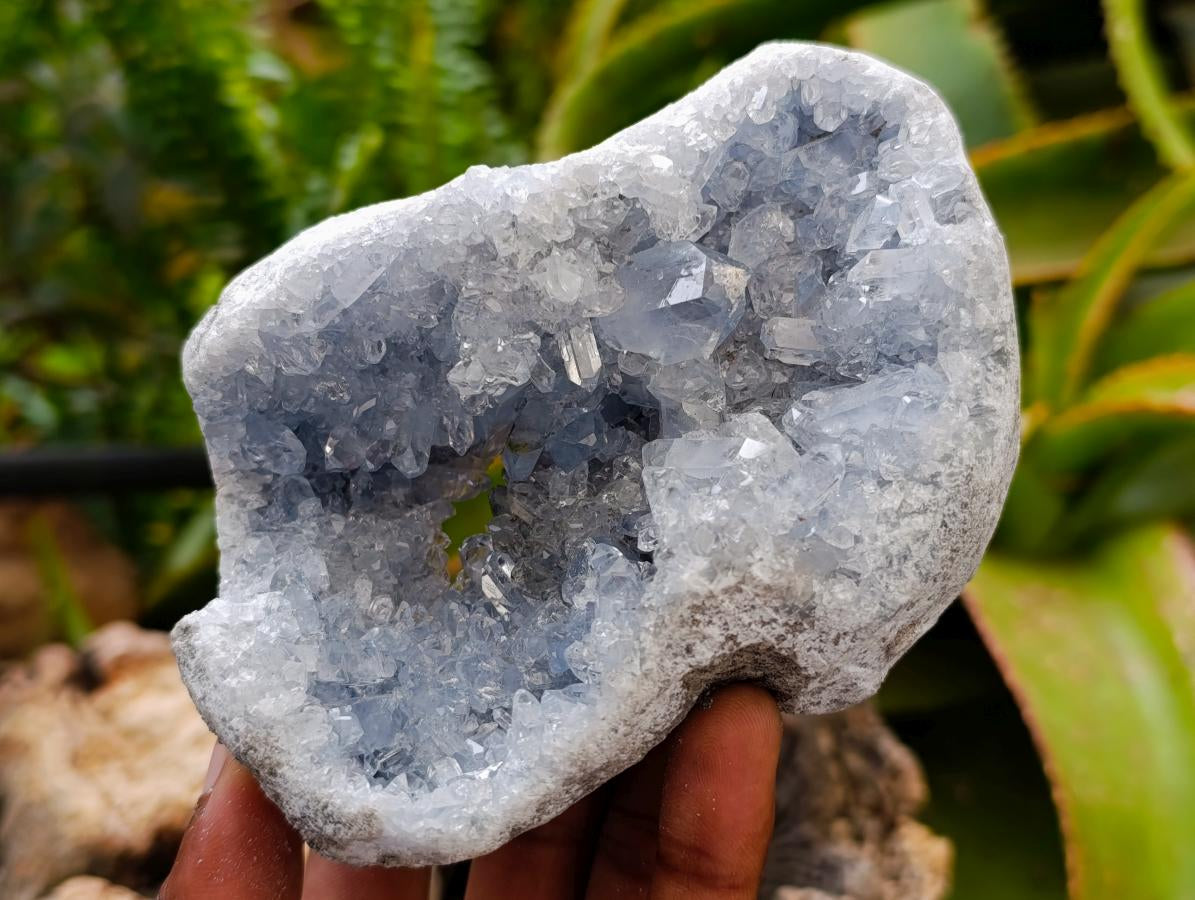 Natural Blue Celestite Specimens x 3 From Sakoany, Madagascar