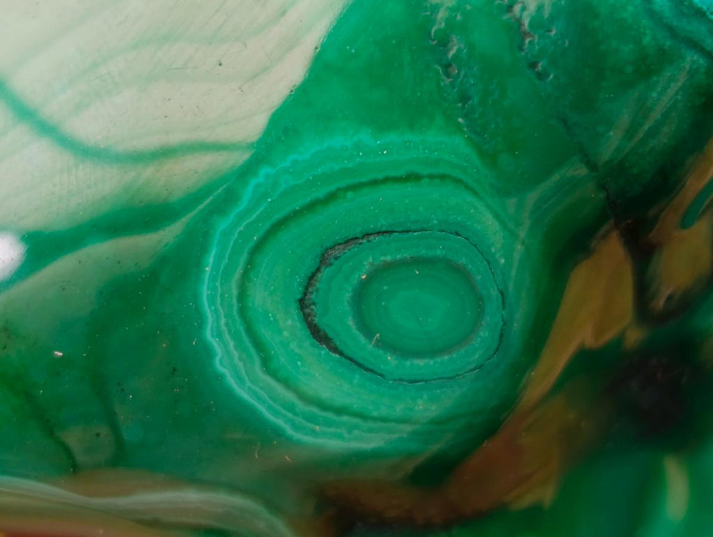 Polished Flower Banded Malachite Free Forms x 3 From Congo - Toprock Gemstones and Minerals 