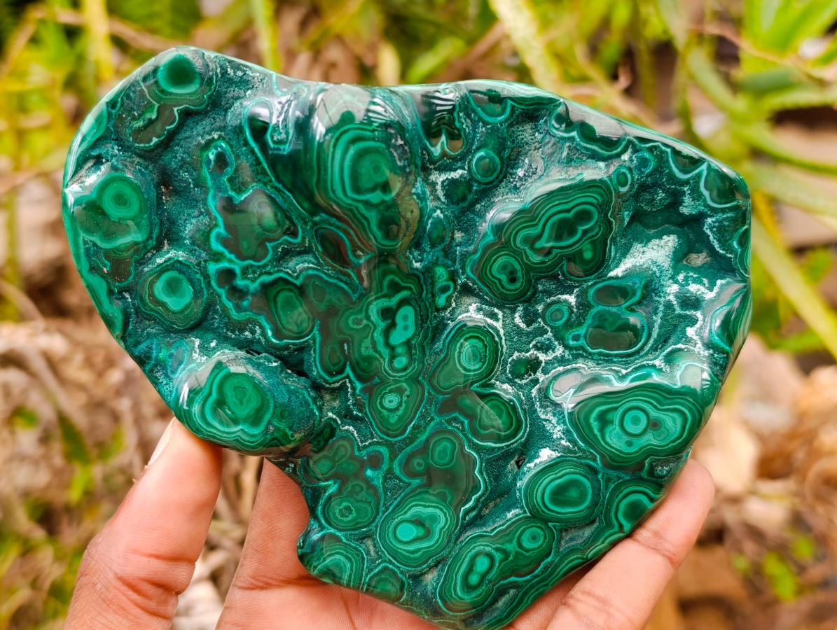 Polished Flower Banded Malachite Free Forms x 3 From Congo - Toprock Gemstones and Minerals 
