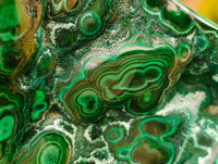 Polished Flower Banded Malachite Free Forms x 3 From Congo
