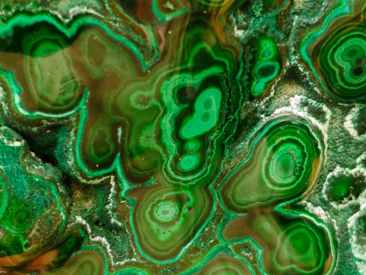Polished Flower Banded Malachite Free Forms x 3 From Congo - Toprock Gemstones and Minerals 