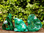 Polished Flower Banded Malachite Free Forms x 3 From Congo - Toprock Gemstones and Minerals 