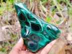 Polished Flower Banded Malachite Free Forms x 3 From Congo - Toprock Gemstones and Minerals 