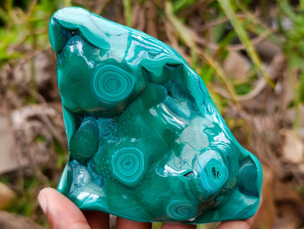 Polished Flower Banded Malachite Free Forms x 3 From Congo - Toprock Gemstones and Minerals 