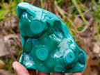 Polished Flower Banded Malachite Free Forms x 3 From Congo - Toprock Gemstones and Minerals 