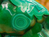 Polished Flower Banded Malachite Free Forms x 3 From Congo