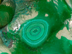 Polished Flower Banded Malachite Free Forms x 3 From Congo - Toprock Gemstones and Minerals 