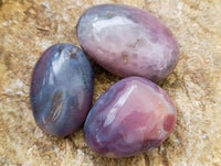 Polished Red Shashe River Agate Galets x 13 From Shashe River, Zimbabwe
