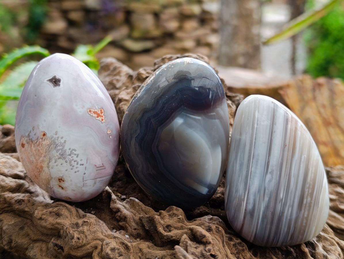 Polished Red Shashe River Agate Galets x 13 From Shashe River, Zimbabwe