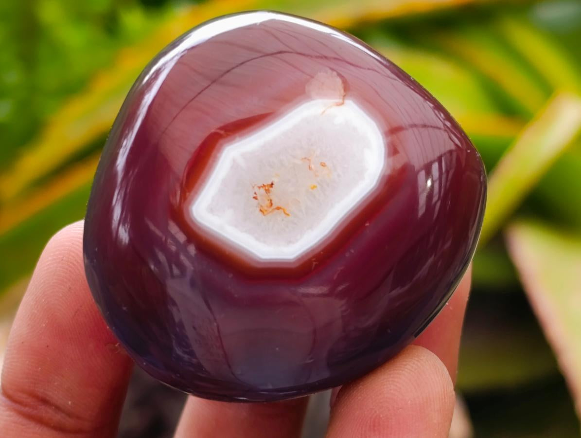 Polished Red Shashe River Agate Galets x 13 From Shashe River, Zimbabwe