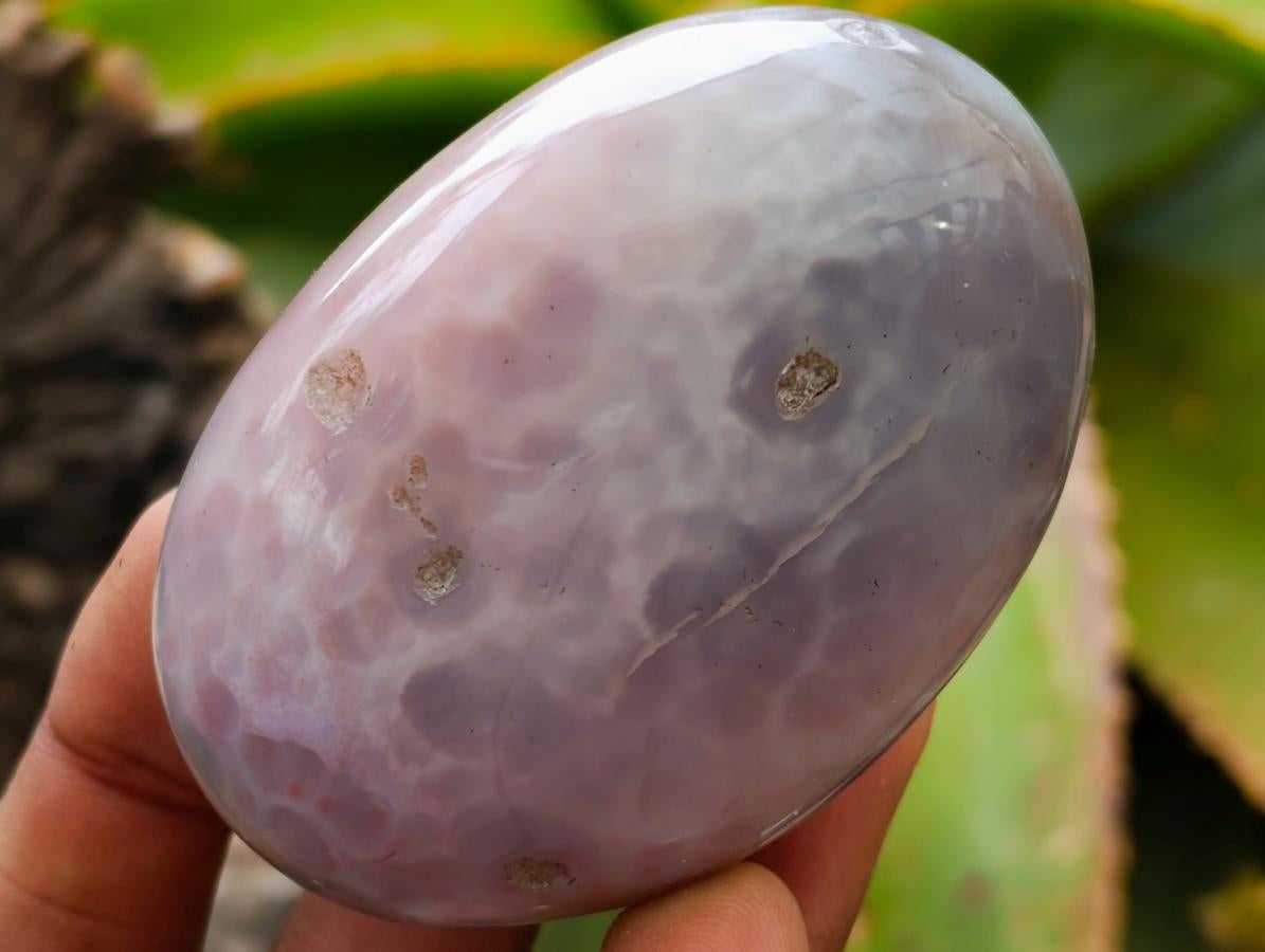 Polished Red Shashe River Agate Galets x 13 From Shashe River, Zimbabwe