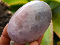 Polished Red Shashe River Agate Galets x 13 From Shashe River, Zimbabwe