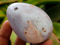 Polished Red Shashe River Agate Galets x 13 From Shashe River, Zimbabwe
