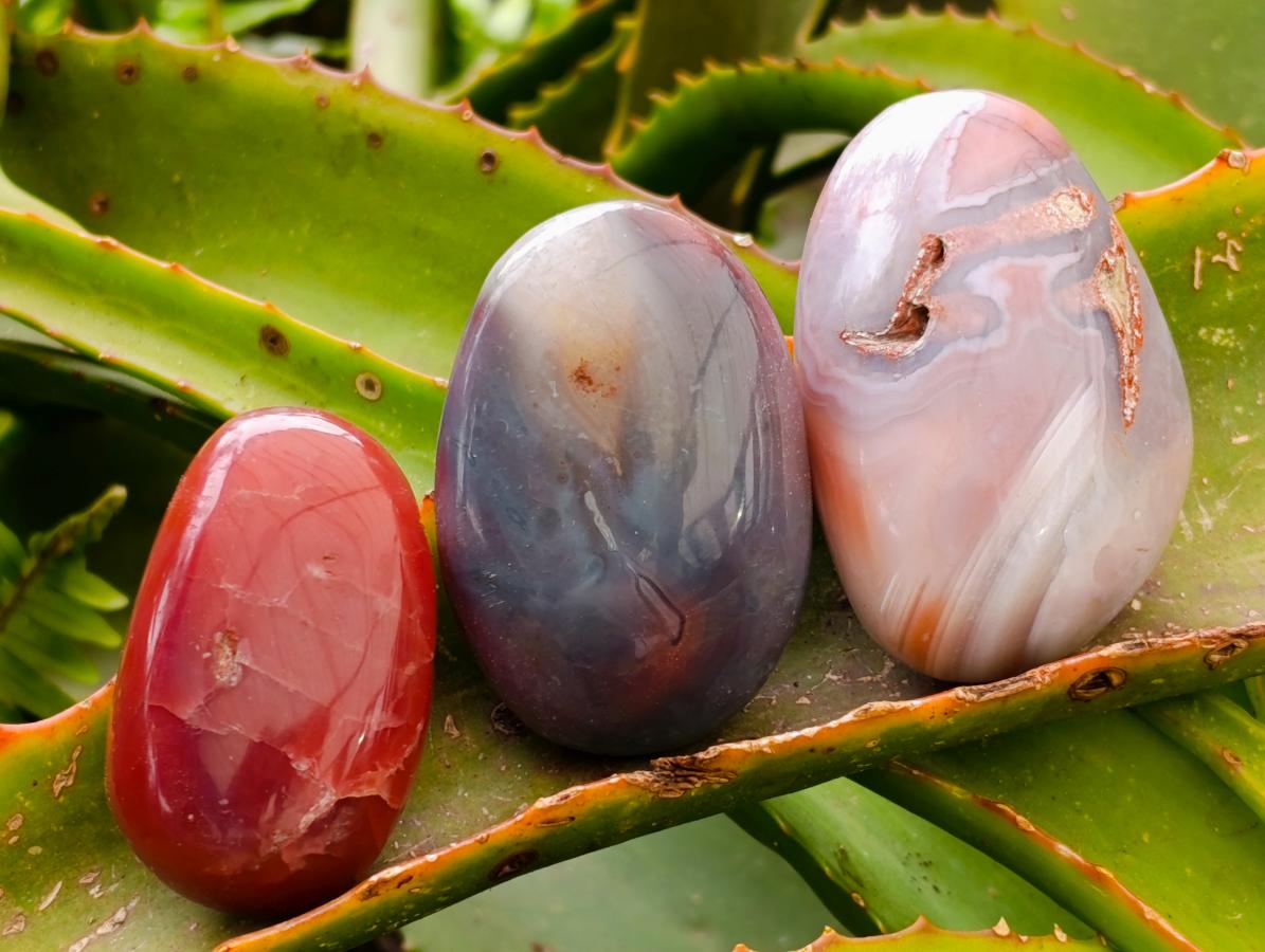 Polished Red Shashe River Agate Galets x 13 From Shashe River, Zimbabwe