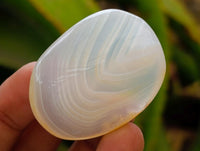 Polished Dendritic Agate Galets x 35 From Moralambo, Madagascar