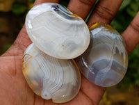 Polished Dendritic Agate Galets x 35 From Moralambo, Madagascar