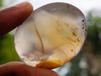 Polished Dendritic Agate Galets x 35 From Moralambo, Madagascar