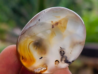 Polished Dendritic Agate Galets x 35 From Moralambo, Madagascar