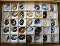 Polished Dendritic Agate Galets x 35 From Moralambo, Madagascar