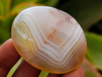 Polished Dendritic Agate Galets x 35 From Moralambo, Madagascar