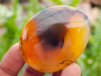 Polished Dendritic Agate Galets x 35 From Moralambo, Madagascar