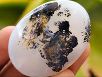 Polished Dendritic Agate Galets x 35 From Moralambo, Madagascar