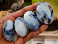 Polished Dendritic Agate Galets x 35 From Moralambo, Madagascar