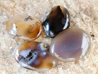 Polished Dendritic Agate Galets x 35 From Moralambo, Madagascar