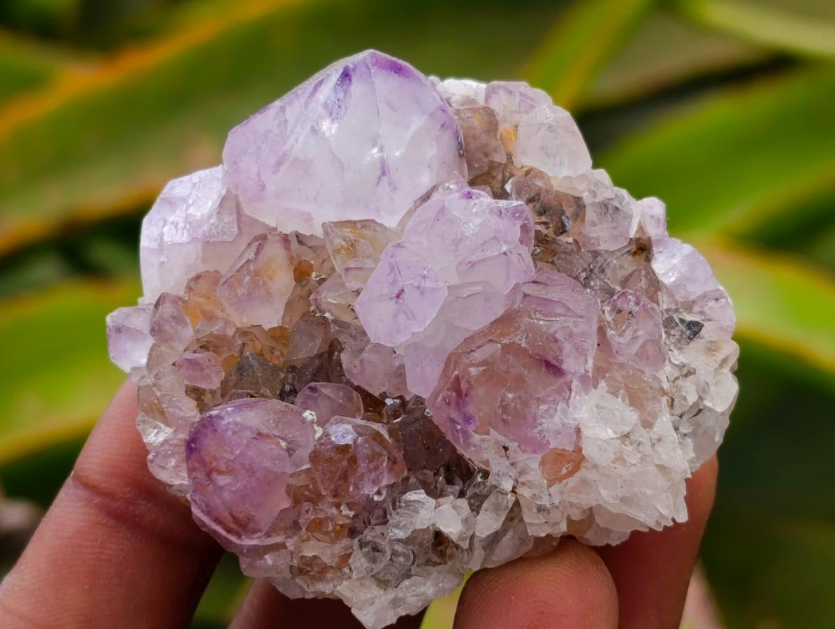 Natural Amethyst Spirit Clusters x 13 From Boekenhouthoek, South Africa