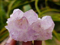 Natural Amethyst Spirit Clusters x 13 From Boekenhouthoek, South Africa
