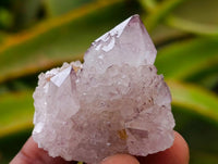 Natural Amethyst Spirit Clusters x 13 From Boekenhouthoek, South Africa