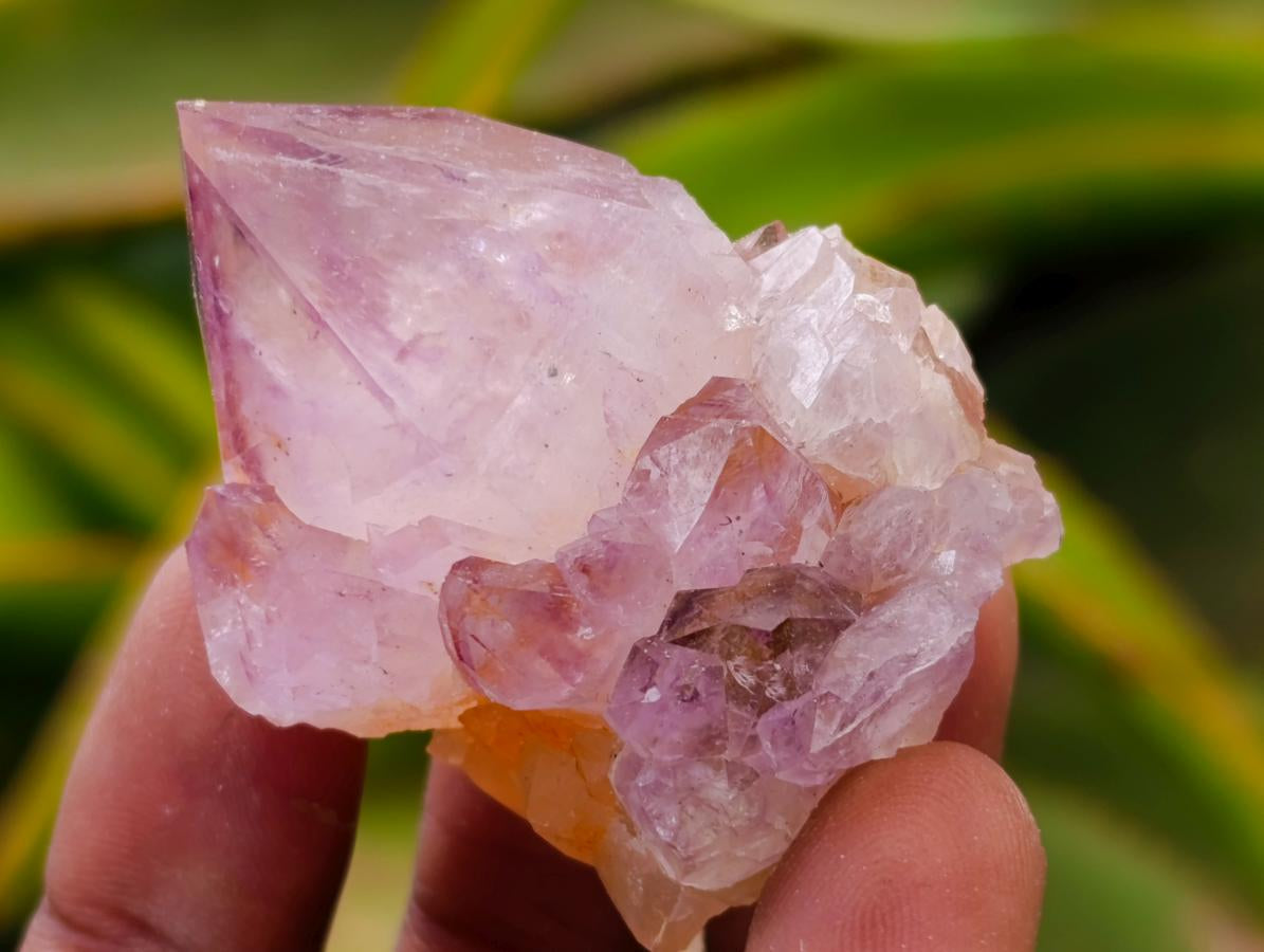 Natural Amethyst Spirit Clusters x 13 From Boekenhouthoek, South Africa