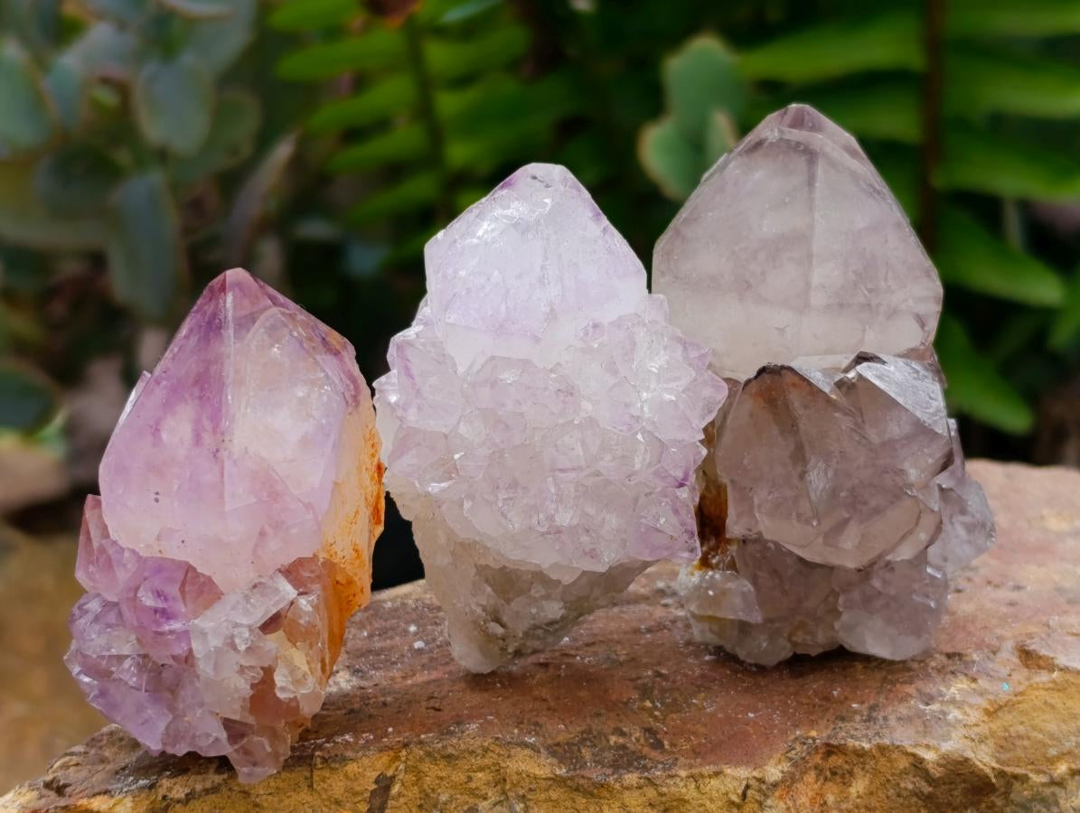 Natural Amethyst Spirit Clusters x 13 From Boekenhouthoek, South Africa