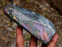 Polished Sunset Labradorite Standing Free Forms x 3 From Madagascar