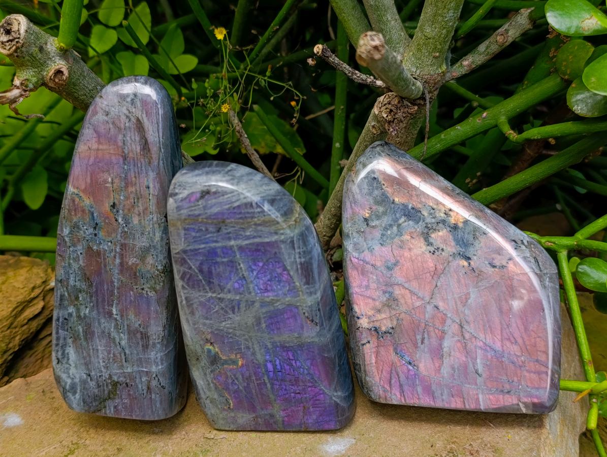 Polished Sunset Labradorite Standing Free Forms x 3 From Madagascar