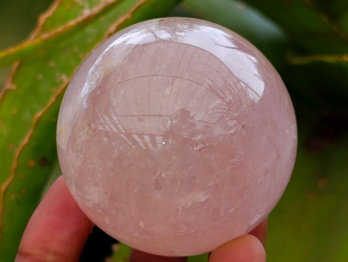 Polished Gemmy Star Rose Quartz Spheres x 6 From Madagascar
