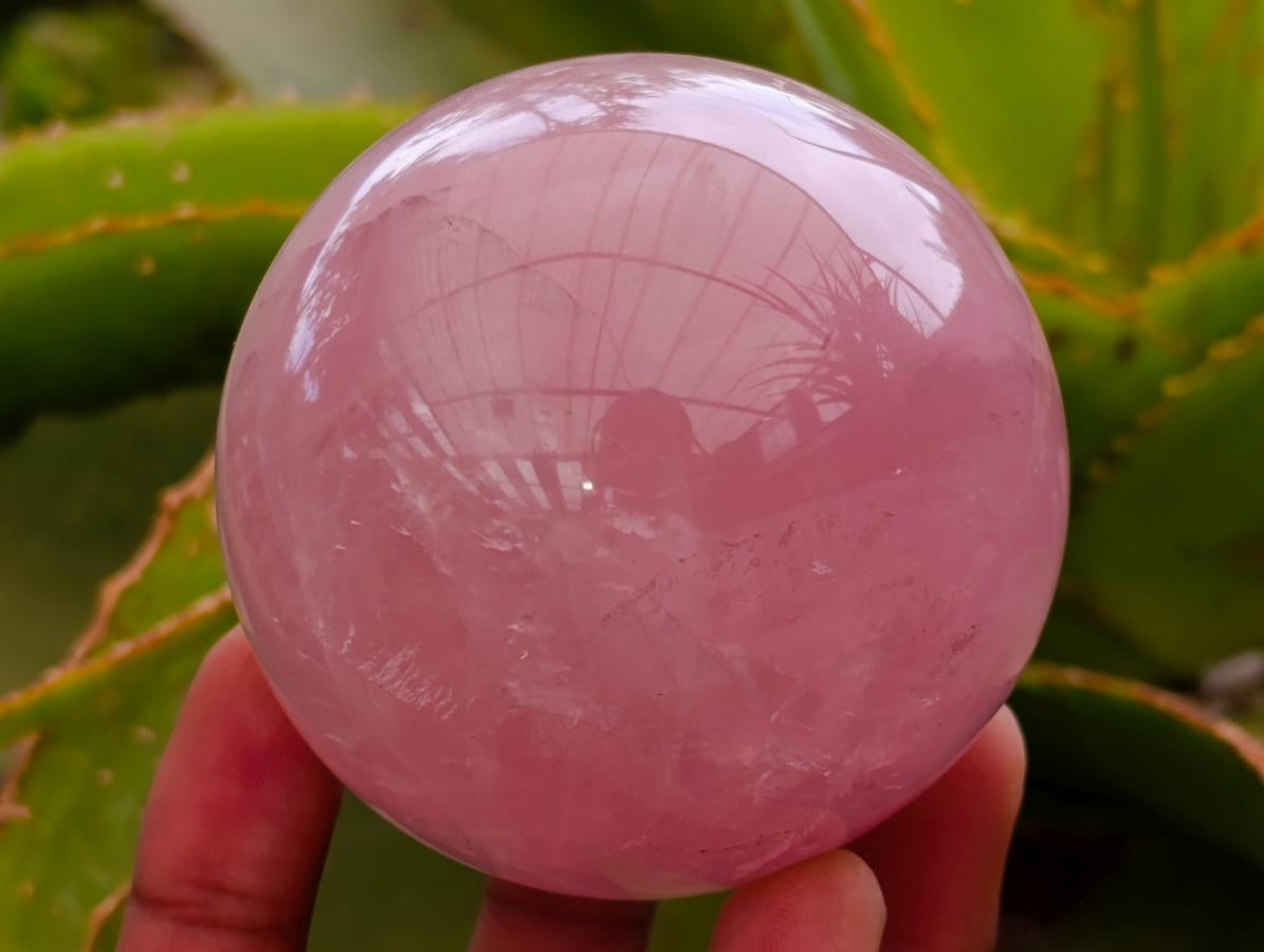 Polished Gemmy Star Rose Quartz Spheres x 6 From Madagascar