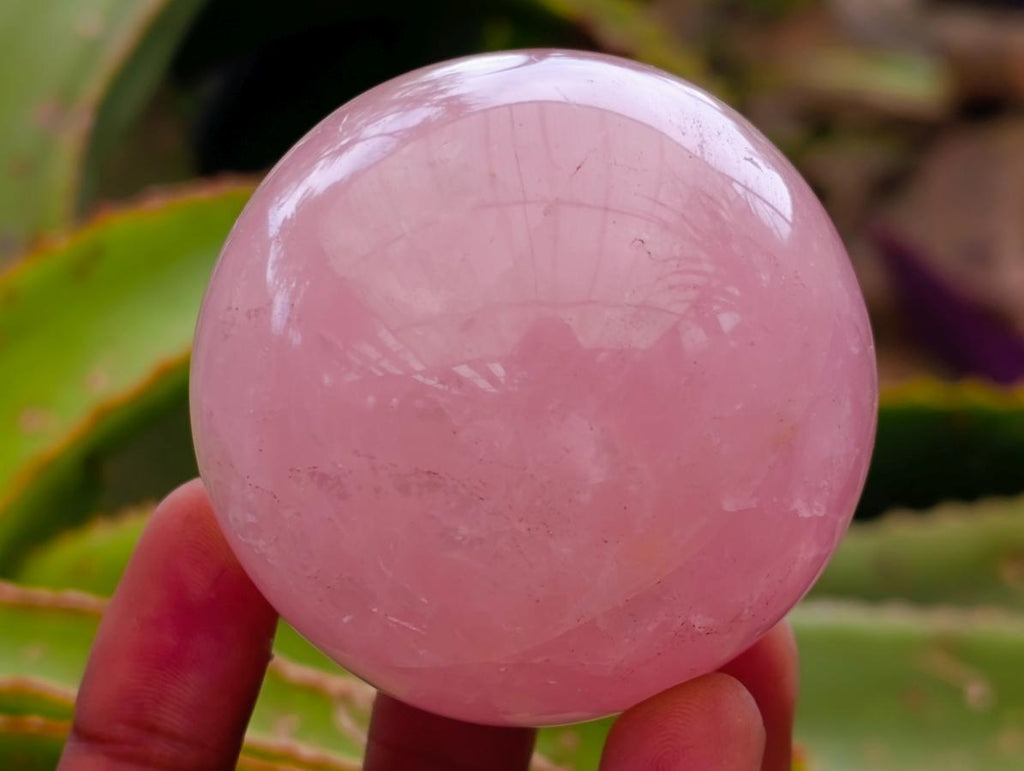 Polished Gemmy Star Rose Quartz Spheres x 6 From Madagascar