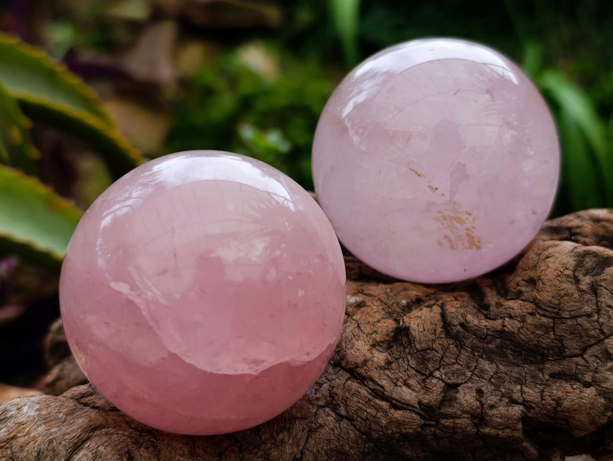 Polished Gemmy Star Rose Quartz Spheres x 6 From Madagascar