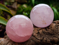 Polished Gemmy Star Rose Quartz Spheres x 6 From Madagascar