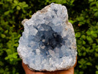 Natural Blue Celestite Geode Specimen x 1 From Sakoany, Madagascar